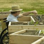 Gardening In A Wheelchair: 5 Essential Tips