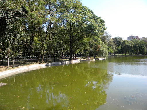 Parcul Cismigiu parken, Bukarest, tilgængelighed